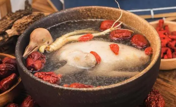 鸽子如何处理