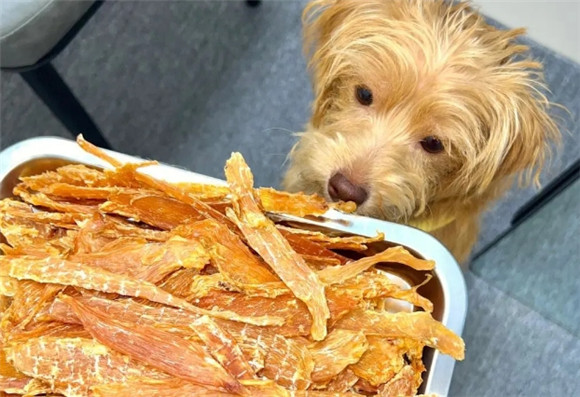 这几种食物，是狗狗最爱吃的“人间美食”