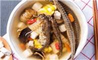 海马可以吃吗