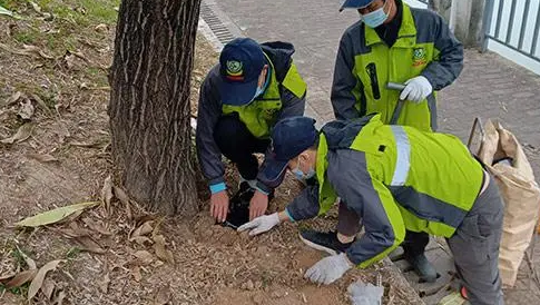 灭白蚁防治方法