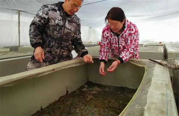 蚂蟥怎么食用