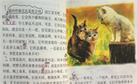 老舍的猫原文阅读