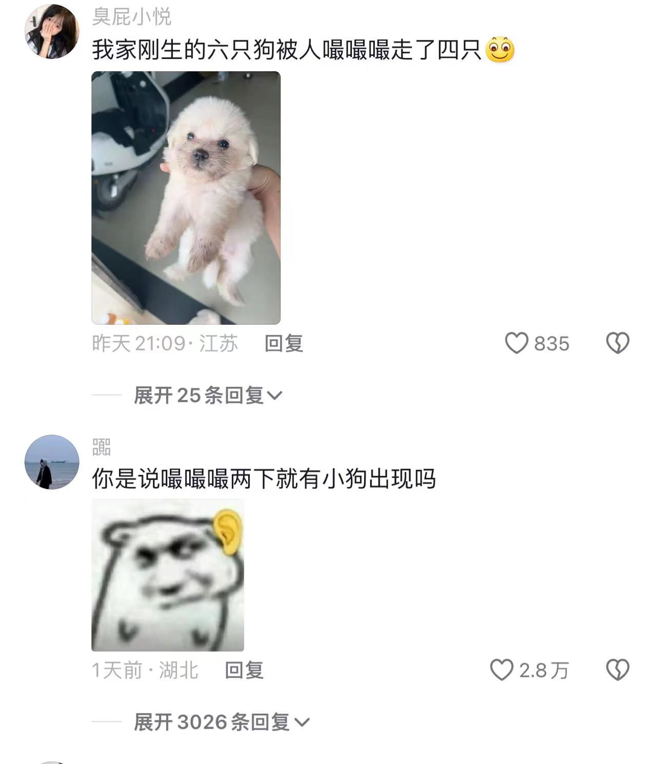 任何小狗都不能拒绝嘬嘬嘬,不信你们试试 任何小狗都不能拒绝嘬嘬嘬,不信你们试试