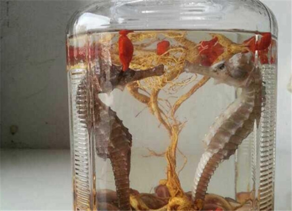 海马酒多少钱一瓶