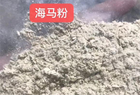 海马粉冲水的功效