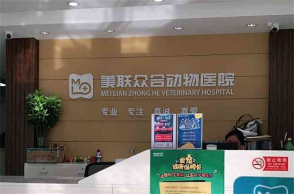 美联众合宠物医院可以治猫吗
