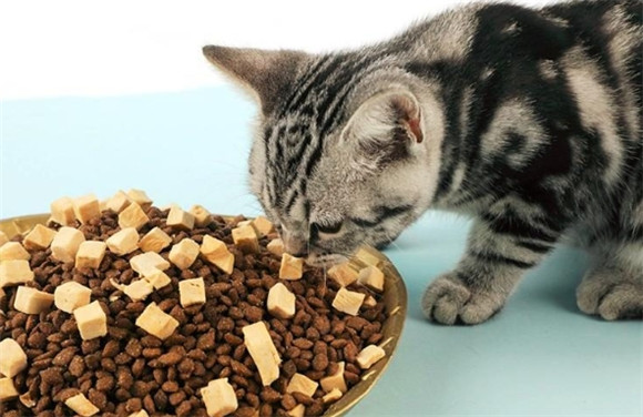 嘻嘻来了猫粮是哪个厂的