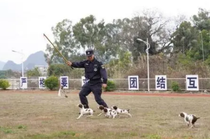 历经入警考 从“萌憨憨”蜕变为“威飒飒”