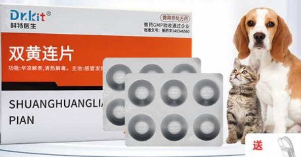 宠物dr是什么科特医生宠物用品好不好？可以来这了解下！_https://www.jmylbn.com_新闻资讯_第1张
