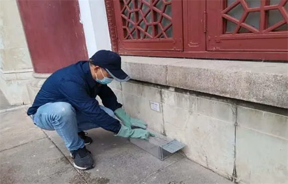 广州市专业灭白蚁公司