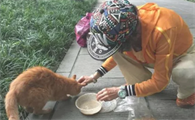 对猫好的回报因果