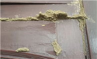 白蚁防治费用标准