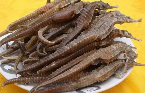  海马价钱是多少钱一斤