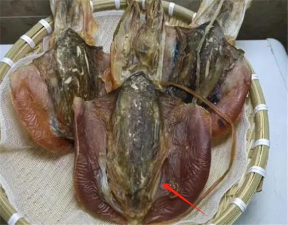 墨鱼皮怎么吃法 墨鱼皮怎么吃法