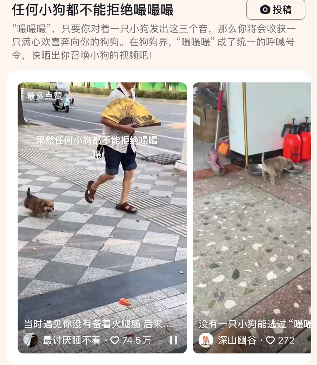任何小狗都不能拒绝嘬嘬嘬,不信你们试试_宠界新闻