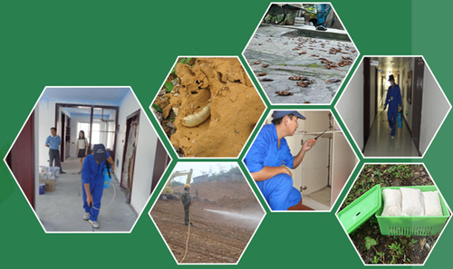 白蚁治理有限公司 白蚁治理有限公司