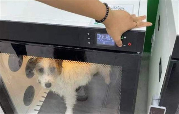 硕林宠物是什么档次