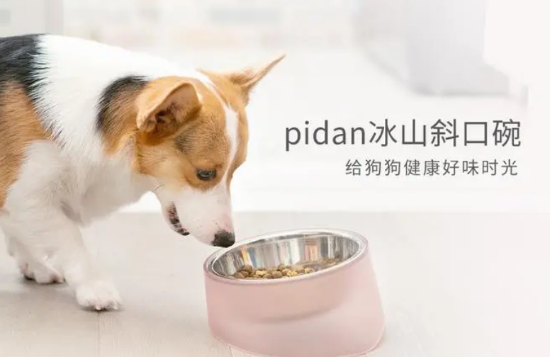 pidan马文飞：创新不是功能描述上的文字游戏，而是重新定义品类