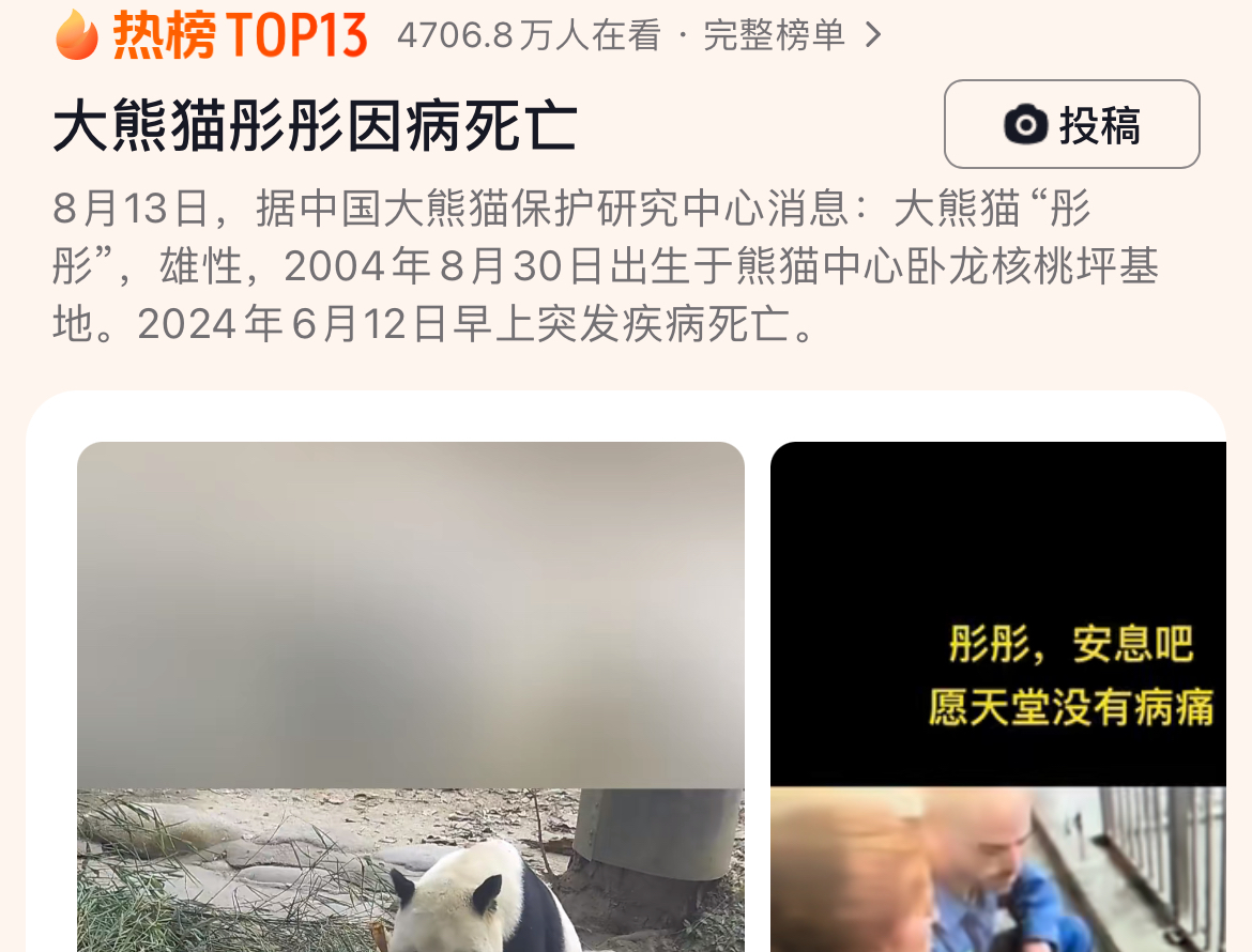 大熊猫彤彤因病死亡，网友：愿你在潘达星幸福快乐