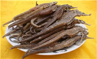 海马能治什么病