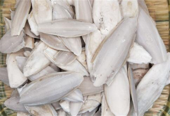 墨鱼骨头有什么功效 墨鱼骨头有什么功效