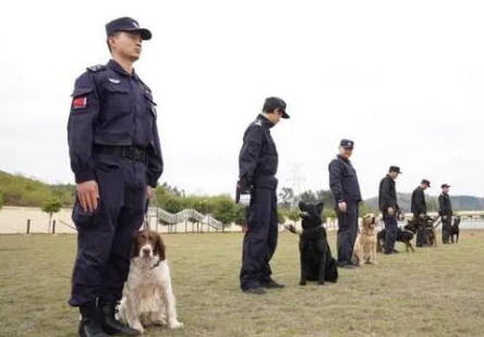 历经入警考 从“萌憨憨”蜕变为“威飒飒”