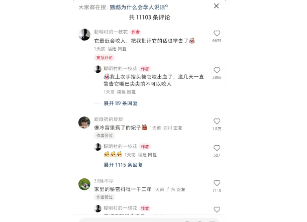 奇闻？胡言乱语的鹦鹉像冷宫里的妃子