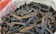三七水蛭丹参功效
