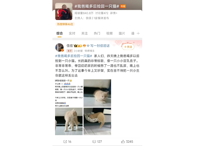 【奇闻趣事】:我爸喝多后捡回一只猫 【奇闻趣事】:我爸喝多后捡回一只猫