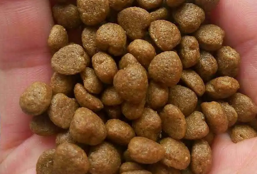 狼族，注重提供营养丰富的宠物狗粮品牌