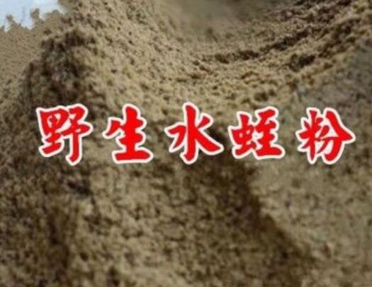 蚂蟥粉有什么功效