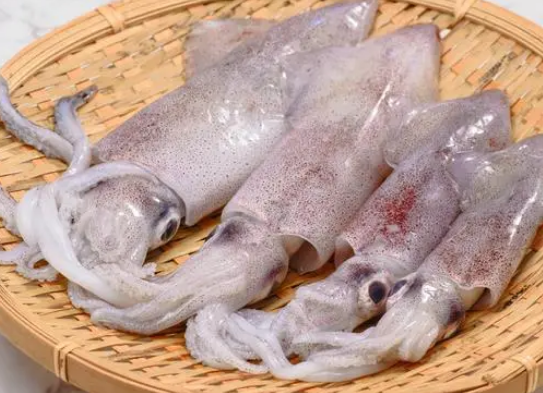 大乌贼怎么做好吃