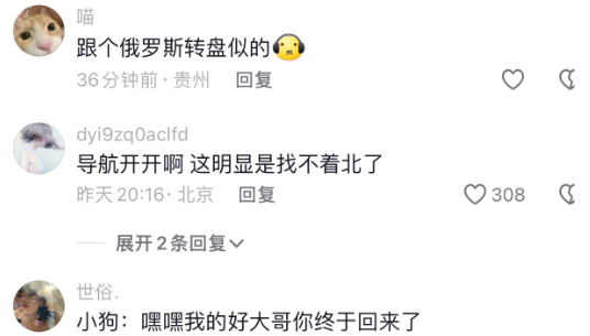 挑战回家不摸狗,你能忍住不摸吗? 挑战回家不摸狗,你能忍住不摸吗?