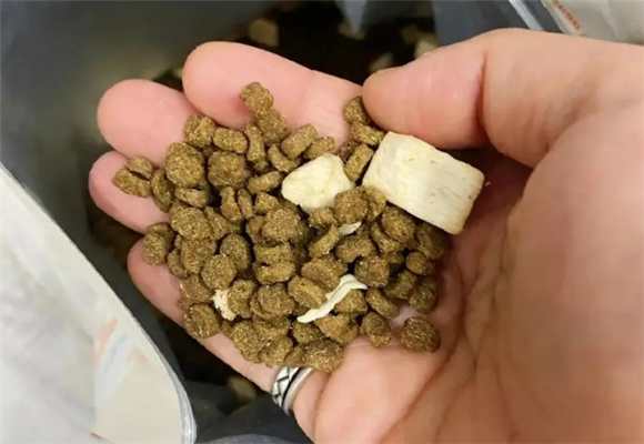 歪耳朵是正规牌子吗