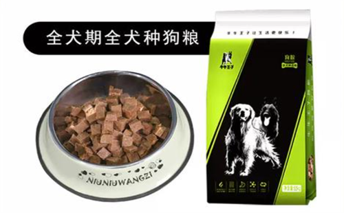 牛牛王子