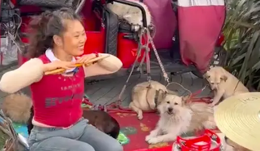 阿姨每天路边敲架子鼓不为赚钱,而是呼吁大家关心流浪狗 阿姨每天路边敲架子鼓不为赚钱,而是呼吁大家关心流浪狗