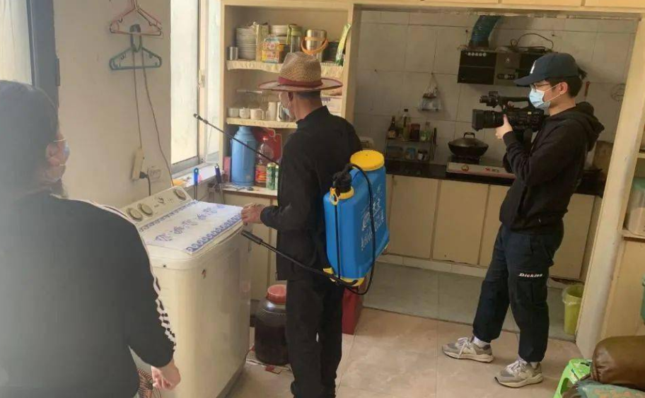 白蚁活动的时间