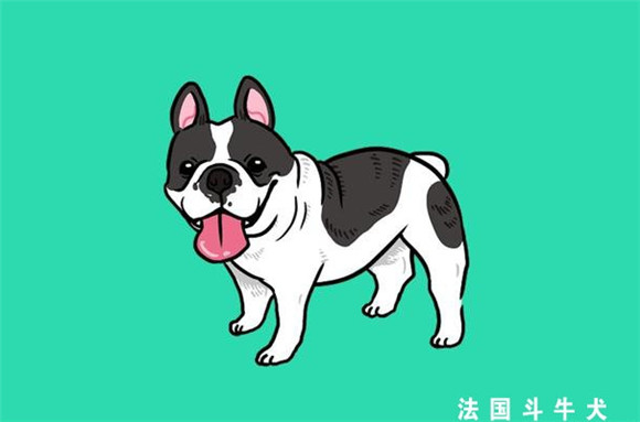 狗狗品种大观园:16种常见犬类优缺点全解析 狗狗品种大观园:16种常见犬类优缺点全解析