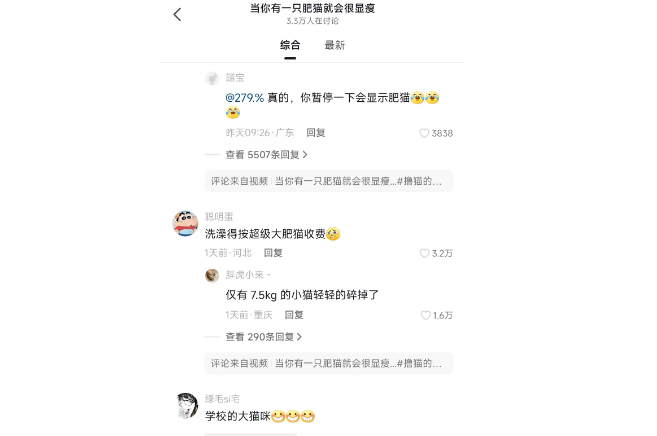 惊！当你有一只肥猫就会很显瘦