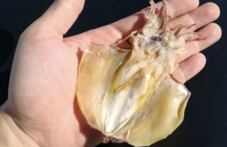 干墨鱼哪种质量好