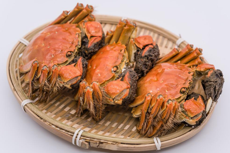 日常大闸蟹该如何去进行捆绑? 日常大闸蟹该如何去进行捆绑?