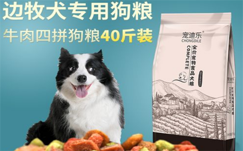 宠迪乐