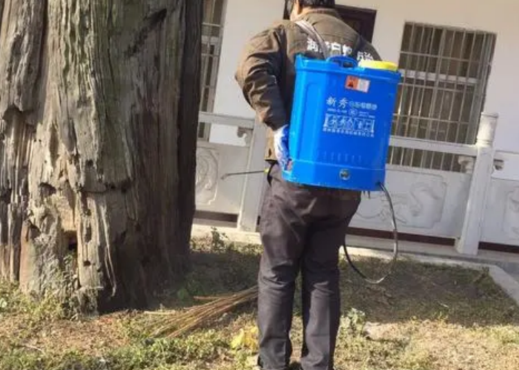 木材白蚁防治