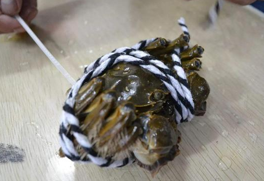 大闸蟹容易死吗