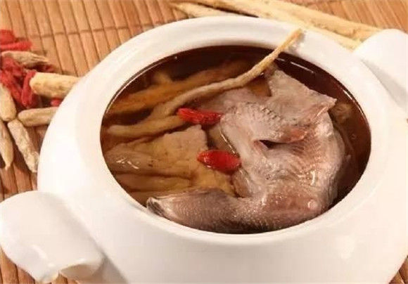 白鸽炖海马有什么功效