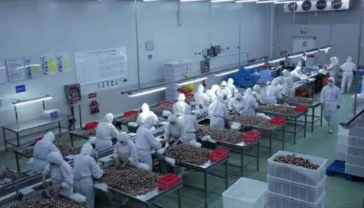 麦富迪：科学养猫背后的硬核实力揭秘