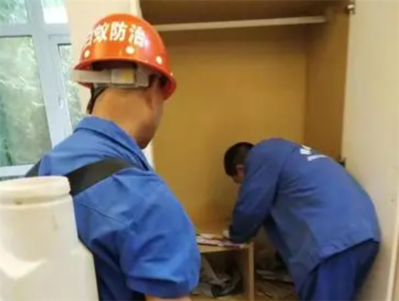 白蚁防治方法四种方法 白蚁防治方法四种方法