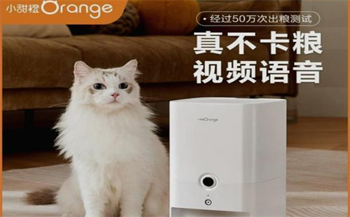 小甜橙