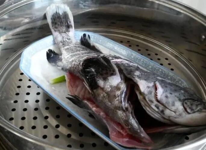 怎样蒸石斑鱼