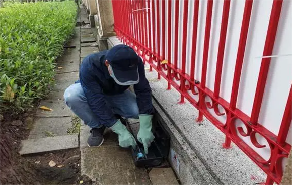 广州上门灭白蚁 广州上门灭白蚁